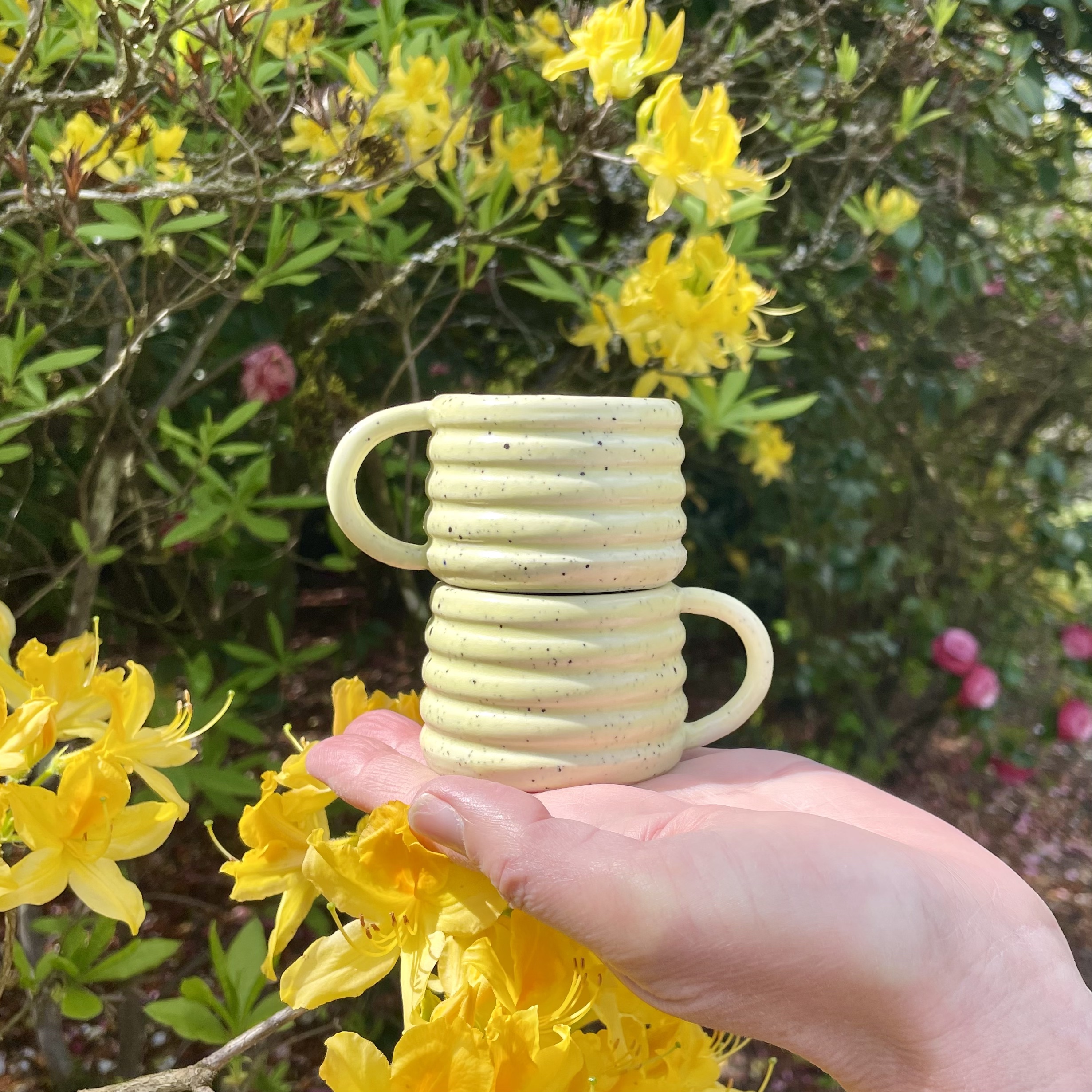 espresso cups